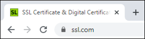 EV SSL website in Chrome